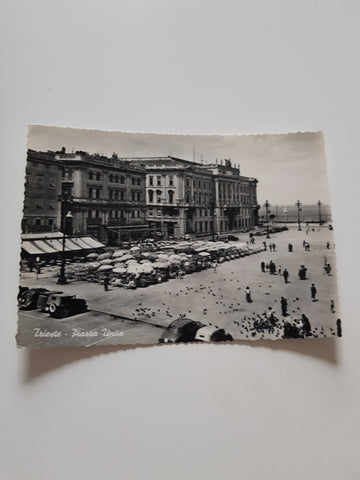 AK Trieste. Piazza Unita.