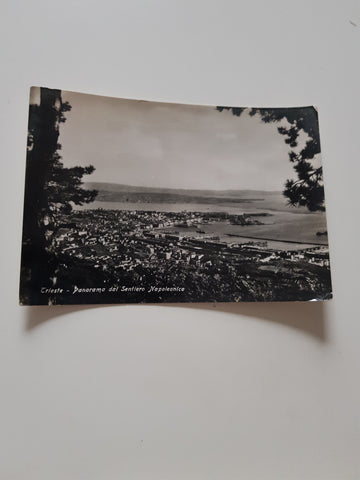 AK Trieste Panorama dal Sentiero Napoleonico.