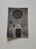 AK Trieste. Rosa trecentesca sulla facciata della Cattedrale di S. Giusto.
