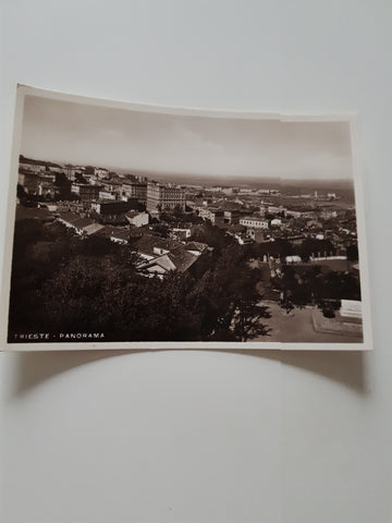 AK Trieste Panorama.