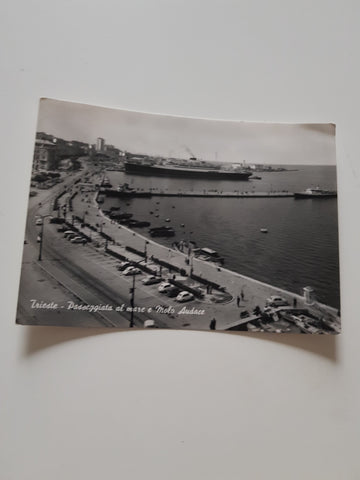 AK Trieste. Passeggiata al mare e Molo Audace.
