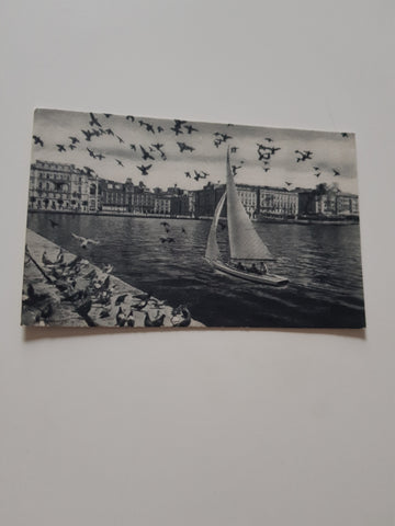 AK Trieste. Piazza Unita dal Mare.