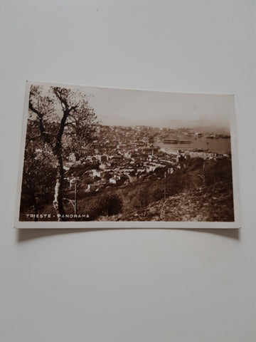 AK Trieste. Panorama.