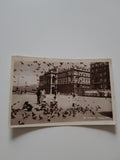 AK Trieste - Piazza Unita.