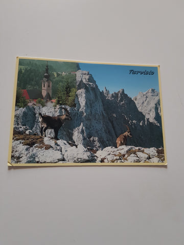 AK Tarvisio.