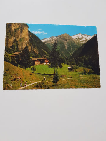 AK Bad Gastein. Kötschachtal. Malerwinkel. Grüner Baum.