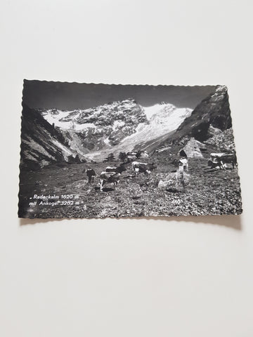 AK Radeckalm mit Ankogel.