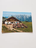 AK Mittenfeld-Alm am Hochkönig.