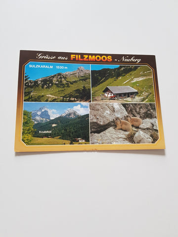 AK Filzmoos-Neuberg 13. Knablhof. Sulzkaralm Besitzer: Familie Ebner.