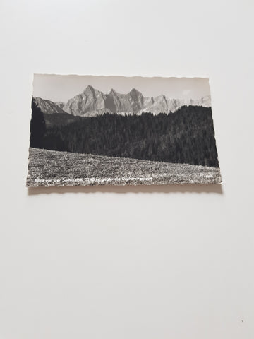 AK Blick von der Seitenalpe gegen die Dachsteingruppe.