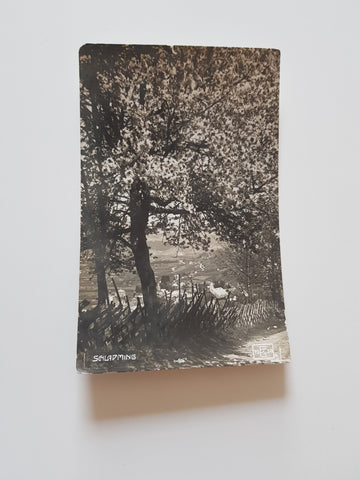 AK Schladming. (1930)