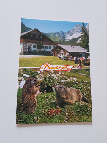AK Ramsau - Hachau. Alpengasthof Bachlalm. Familie Steiner.