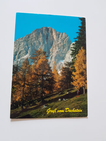 AK Gruß vom Dachstein.