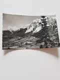 AK Ramsau am Dachstein. (1959)