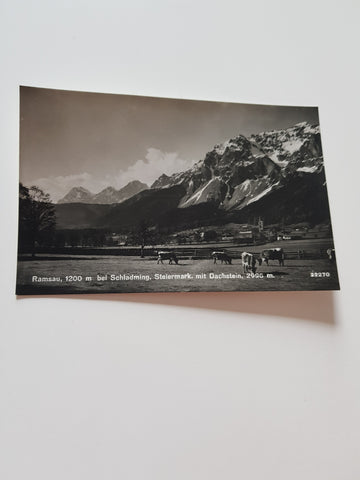 AK Ramsau am Dachstein.