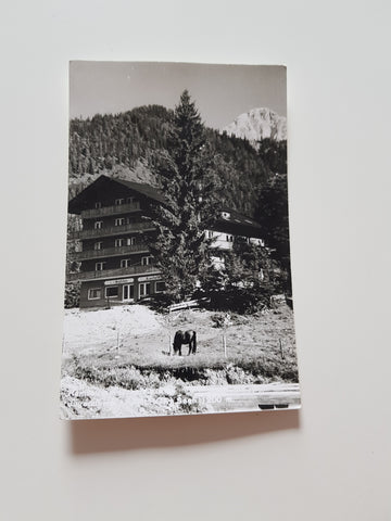 AK Ramsau am Dachstein. Jugendheim Karlhof.