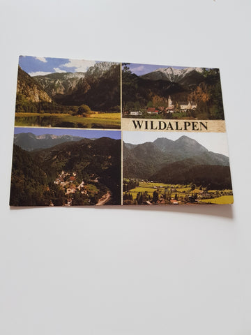 AK Wildalpen.
