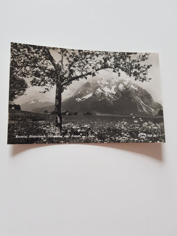 AK Ennstal: Grimming und Kamm. (1938-39)