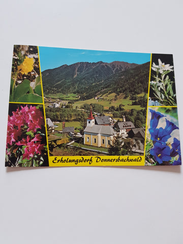 AK Donnersbachwald.