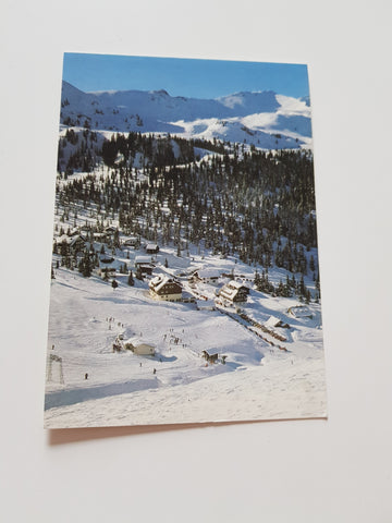 AK Planneralm.