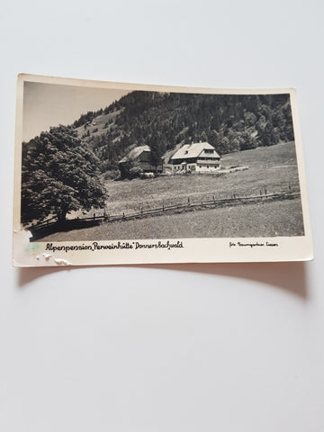 AK Donnersbachwald Alpenpension Perweinhütte.