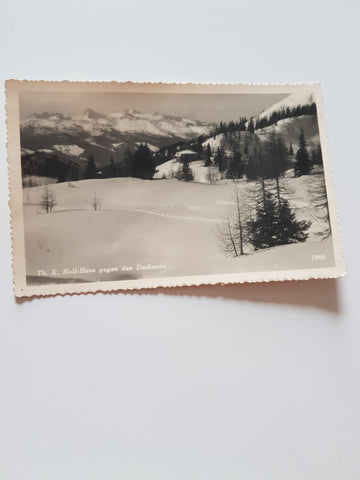 AK Th. K. Hollhaus gegen den Dachstein.