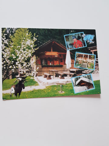 AK Bad Mitterndorf. Neuhofen 19. Goaßhittn Heiss.