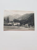 AK Mitterndorf. Wiesen- und Waldvilla. (1906)