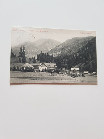 AK Mitterndorf. Wiesen- und Waldvilla. (1906)