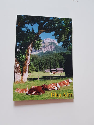 AK Blaa Alm. Altaussee.