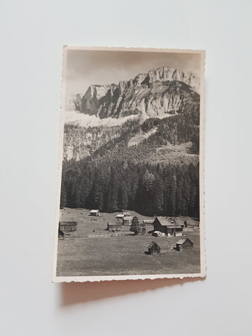 AK Blaa Alm mit Loser.