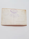 AK Altaussee Dachsteinblick v. d. Restauration Seewiese. (1928)