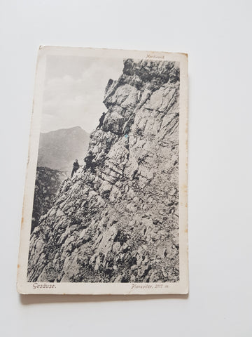 AK Gesäuse. Planspitze. (1914)