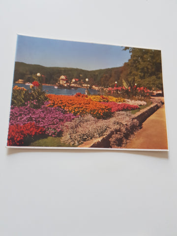 AK Blumenpromenade in Pörtschach am Wörthersee.