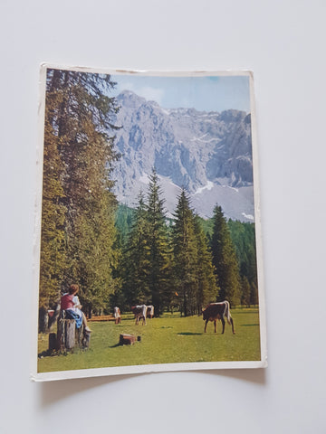 AK Bodental. Karawanken. Alpengasthof und Pension Sereinig.