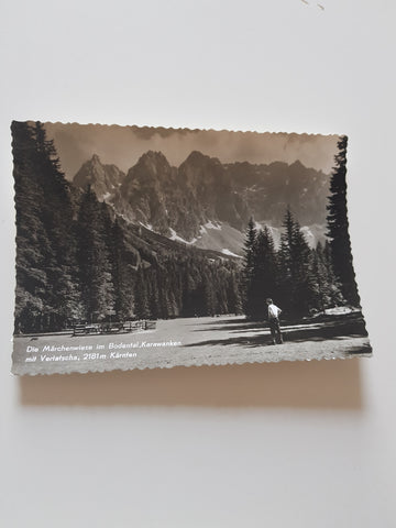 AK Die Märchenwiese im Bodental mit Vertatscha.