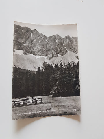 AK Die Märchenwiese im Bodental mit Vertatscha.