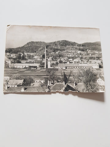 AK Medvoje.