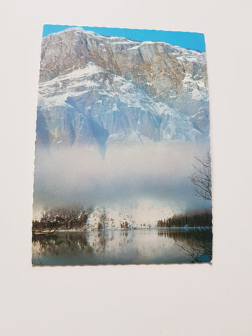 AK Zlatorog Bohinj.