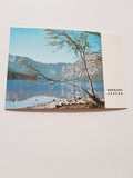 AK Bohinjsko Jezero.