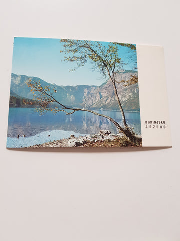 AK Bohinjsko Jezero.