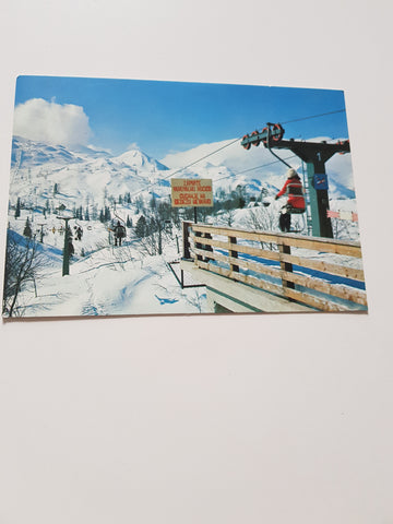 AK Zimski Motiv. Vogel Bohinj.