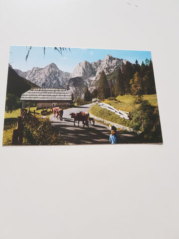 AK Kranjska gora. Cesta na Vrsic.