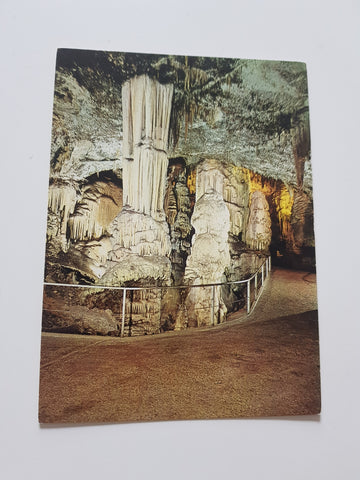 AK Postojnska Jama, Grotte - Caves.
