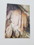 AK Postojnska Jama. Grotte-cave. Banane.