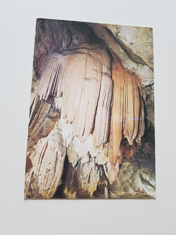 AK Postojnska Jama. Grotte-cave. Banane.