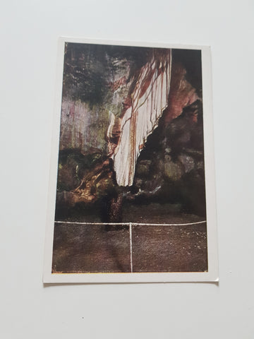 AK RR. Grotte Demaniali di Postumia presso Trieste. La grande cortina.
