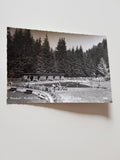 AK Kötschach-Mauthen. Schwimmbad in Mauthen. (1964)