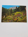 AK Sonnenalpe Naßfeld. Wulfenia Naturschutzgebiet.