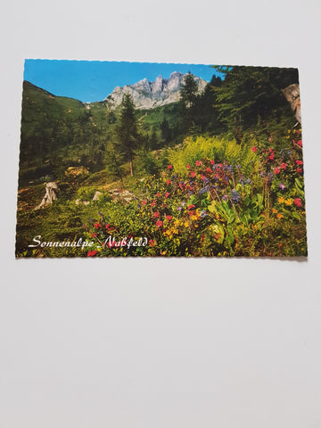 AK Sonnenalpe Naßfeld. Wulfenia Naturschutzgebiet.